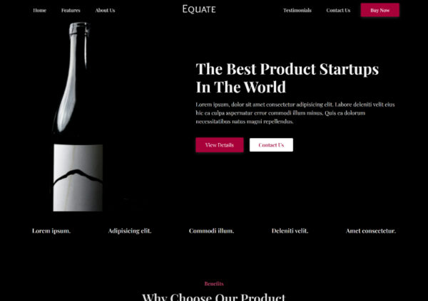 Equate - Startup Website Template - Image 2