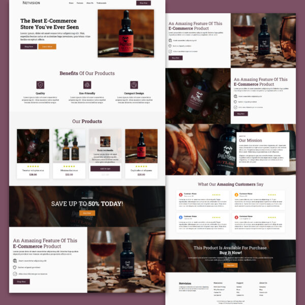 Netvision - Startup Website Template